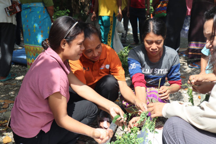 Pendidikan Ketahanan Pangan dan Pertanian Organik